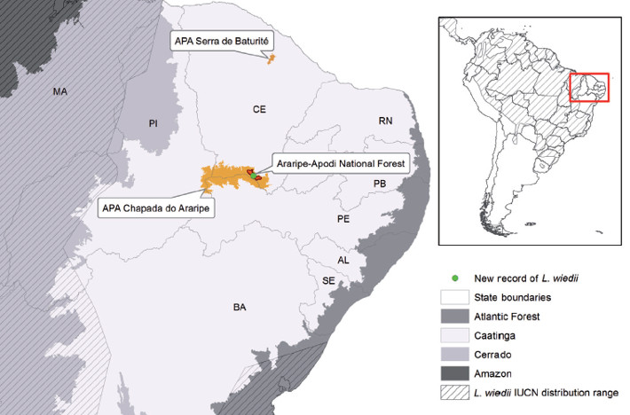 Location of the Araripe-Apobi National Forest and Environmental Protection Area (APA), in southern Ceará, northeastern Brazil, where a specimen of Leopardus wiedii was recorded