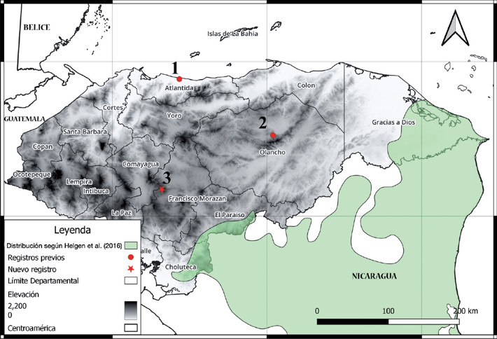 Mapa de los registros confirmados de Bassaricyon gabbii para Honduras